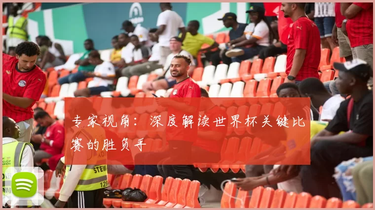 专家视角:深度解读世界杯关键比赛的胜负手