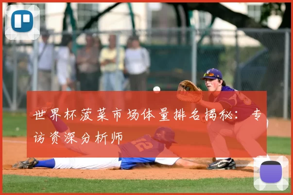 世界杯菠菜市场体量排名揭秘：专访资深分析师