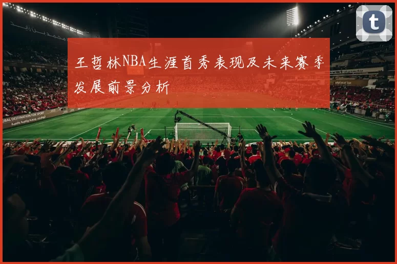 王哲林NBA生涯首秀表现及未来赛季发展前景分析