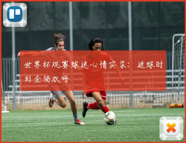 世界杯观赛球迷心情实录：进球时刻全场欢呼