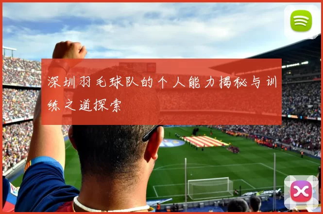 深圳羽毛球队的个人能力揭秘与训练之道探索