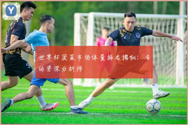 世界杯菠菜市场体量排名揭秘：专访资深分析师