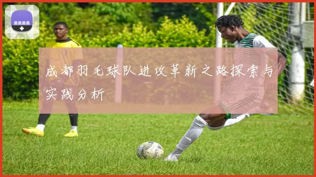 成都羽毛球队进攻革新之路探索与实践分析