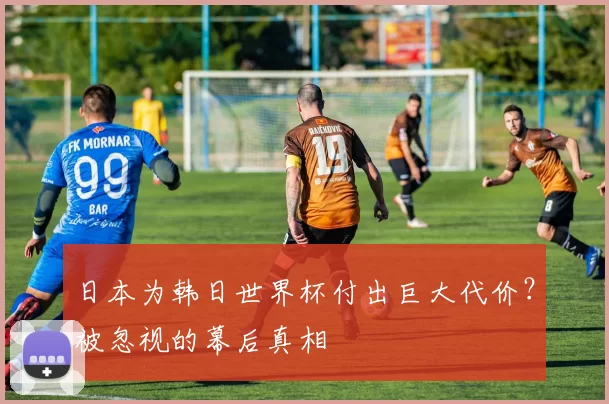 日本为韩日世界杯付出巨大代价?被忽视的幕后真相
