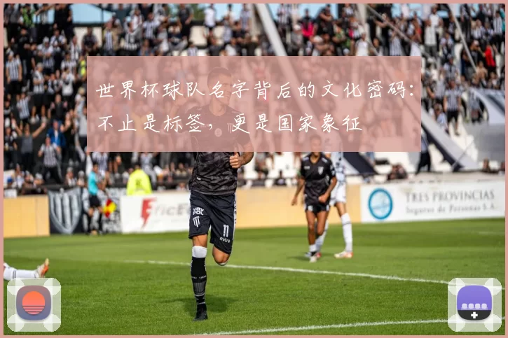 世界杯球队名字背后的文化密码：不止是标签，更是国家象征