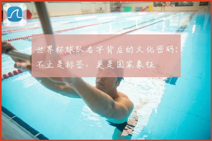 世界杯球队名字背后的文化密码：不止是标签，更是国家象征