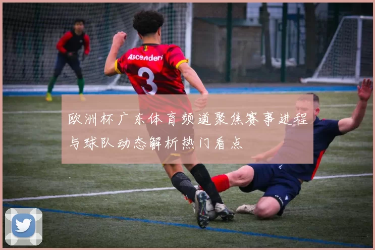 欧洲杯广东体育频道聚焦赛事进程与球队动态解析热门看点